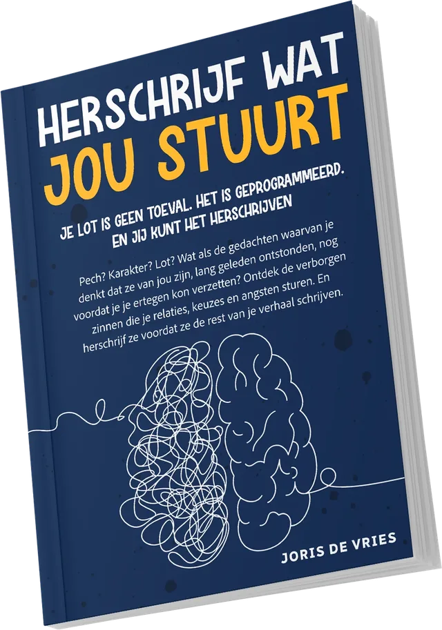 Omslag van Herschrijf wat jou stuurt